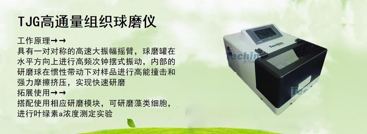 TJG高通量构造球磨仪
